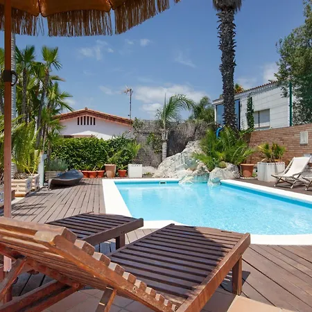 Palmeras Canet De Mar